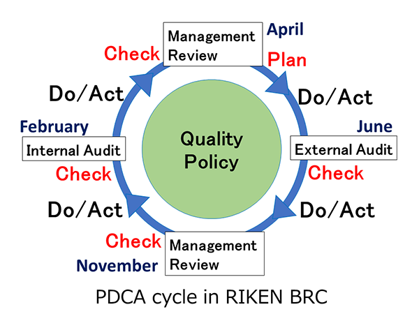 PDCA cycle in RIKEN BRC