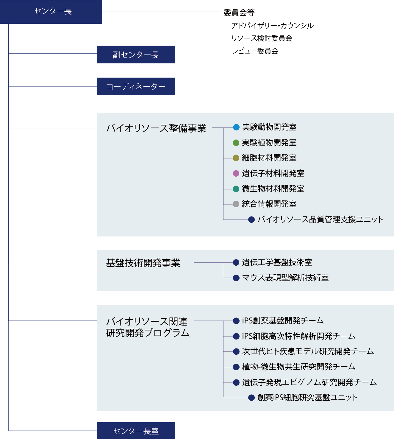 
【センター長】
・委員会等
・アドバイザリー・カウンシル
・リソース検討委員会
・レビュー委員会
【副センター長】 
【コーディネーター】 
【バイオリソース整備事業】 
・実験動物開発室
・実験植物開発室
・細胞材料開発室
・遺伝子材料開発室
・微生物材料開発室
・統合情報開発室
・バイオリソース品質管理支援ユニット
【基盤技術開発室事業】 
・遺伝工学基盤技術室 マウス表現型解析技術室
【バイオリソース関連研究開発プログラム】
・iPS創薬基盤開発チーム iPS細胞高次特性解析開発チーム 
・次世代ヒト疾患モデル研究開発チーム 
・植物-微生物共生研究開発チーム 
・遺伝子発現エピゲノム研究開発チーム 
・創薬iPS細胞研究基盤ユニット 
【センター長室】