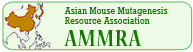 logo of AMMRA