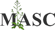 logo of MASC