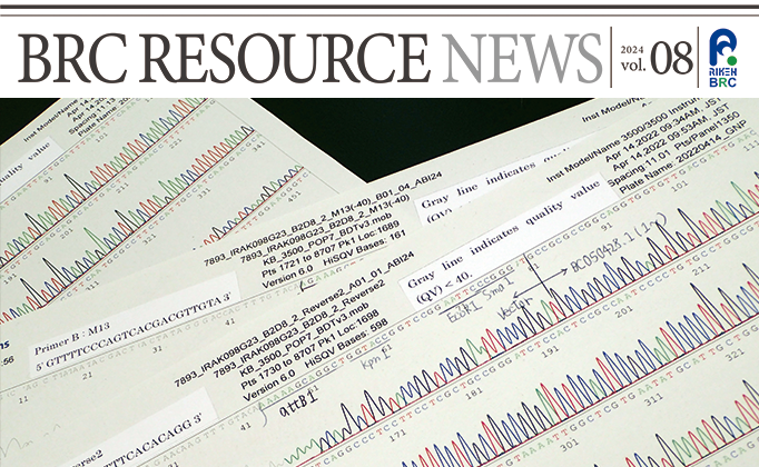 BRC RESOURCE NEWS 2024 vol.08