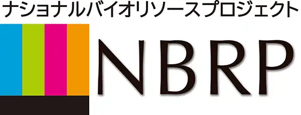 NBRP